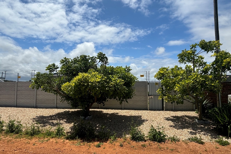 0 Bedroom Property for Sale in Cannonville Eastern Cape